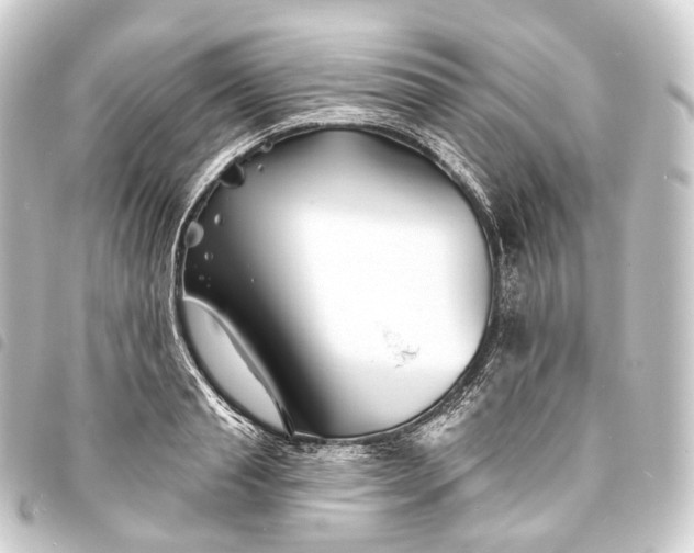 X0000093760845200710301143