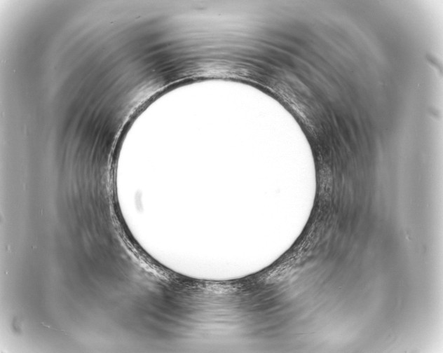 X0000093760848200710301143