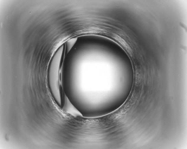 X0000093760850200710301143