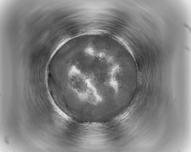 X0000093760851200710301143