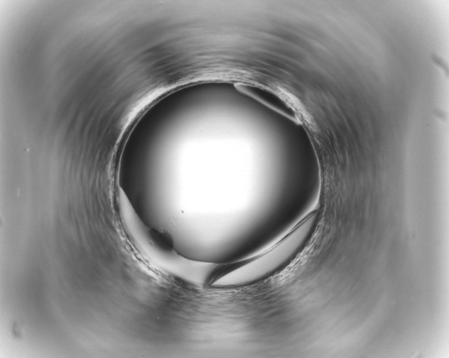 X0000093760854200710301143