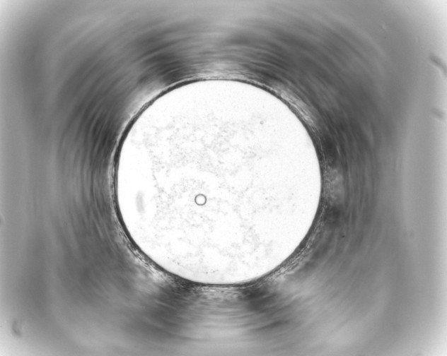 X0000093760856200710301143