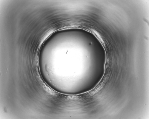 X0000093760859200710301143