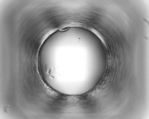 X0000093760861200710301143