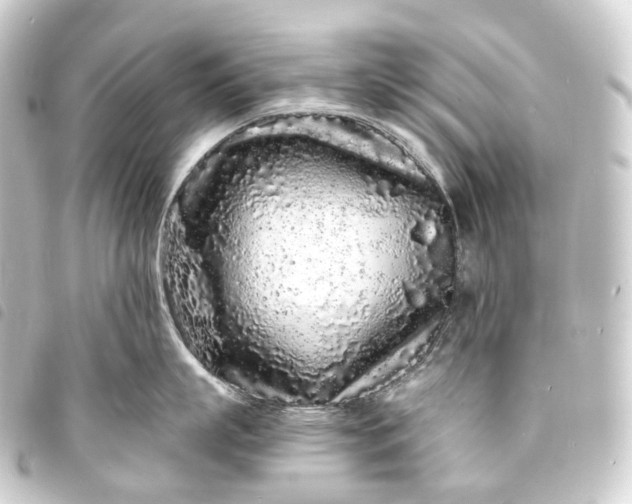 X0000093760863200710301143