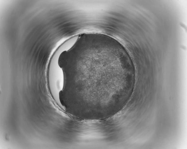 X0000093760864200710301143