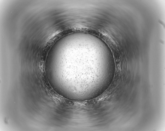 X0000093760870200710301142