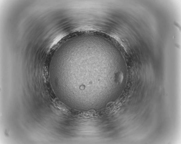 X0000093760871200710301142