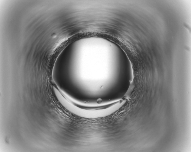 X0000093760872200710301142