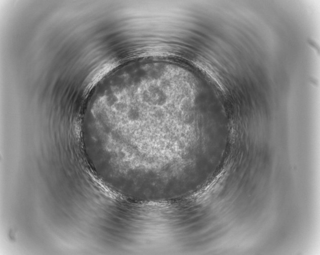 X0000093760874200710301142