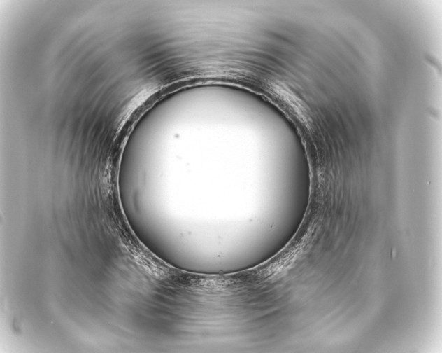 X0000093760875200710301142