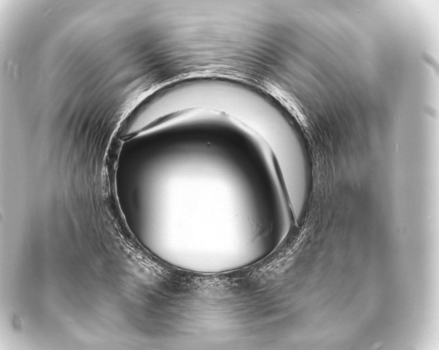 X0000093760876200710301142