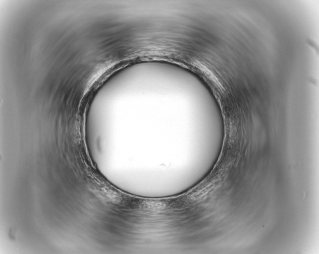 X0000093760878200710301142