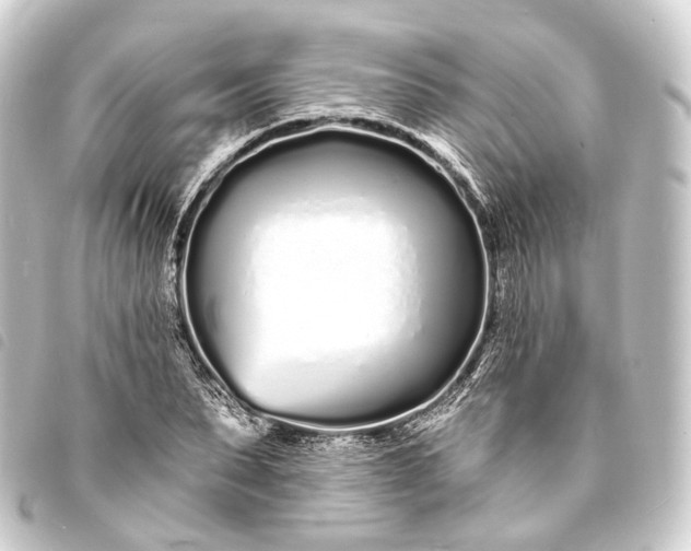 X0000093760879200710301142