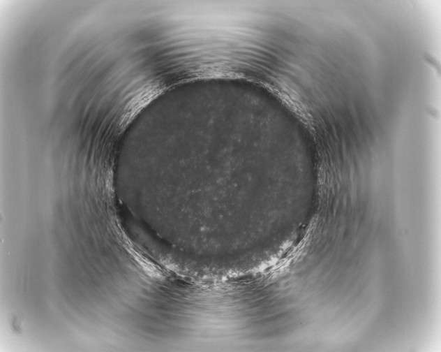 X0000093760881200710301142