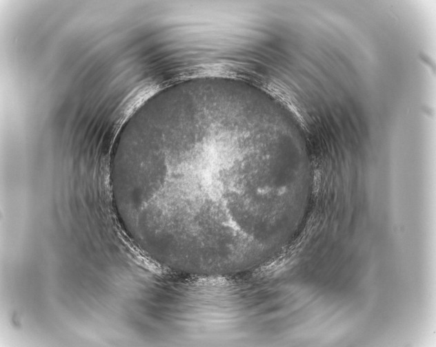 X0000093760882200710301142