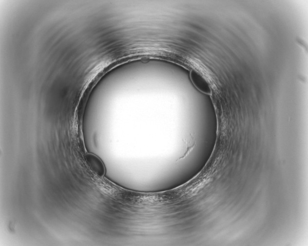 X0000093760883200710301142