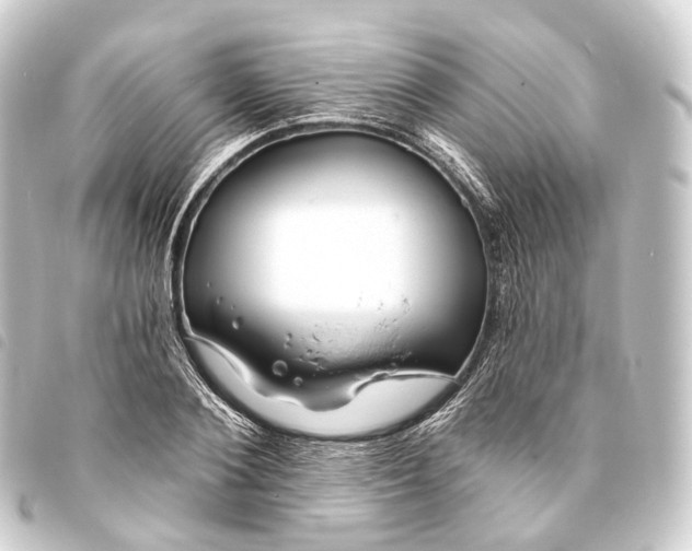 X0000093760884200710301142