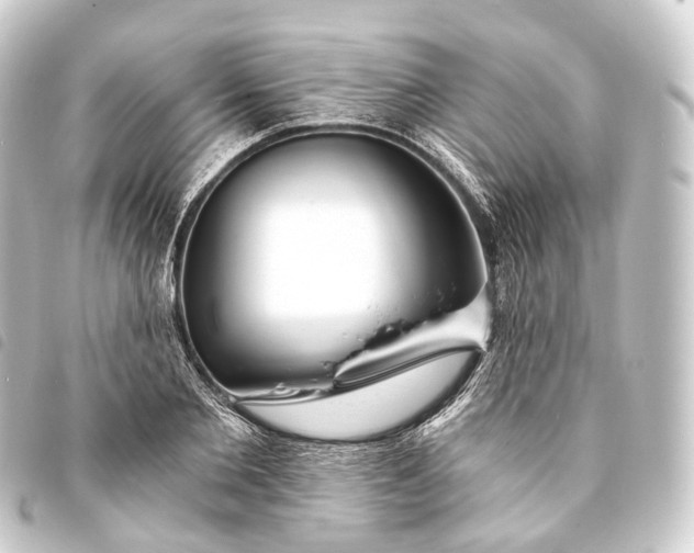 X0000093760885200710301142