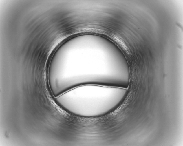 X0000093760888200710301142