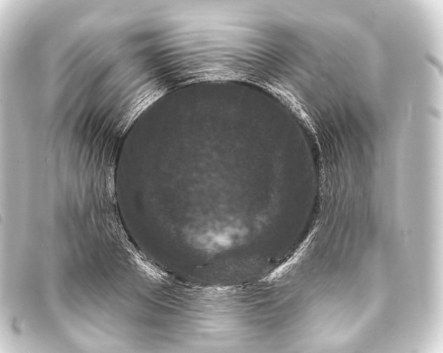 X0000093760889200710301142