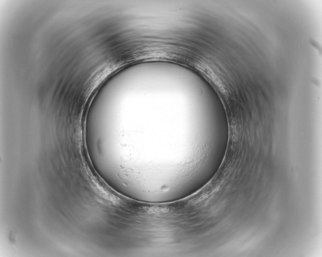 X0000093760890200710301142