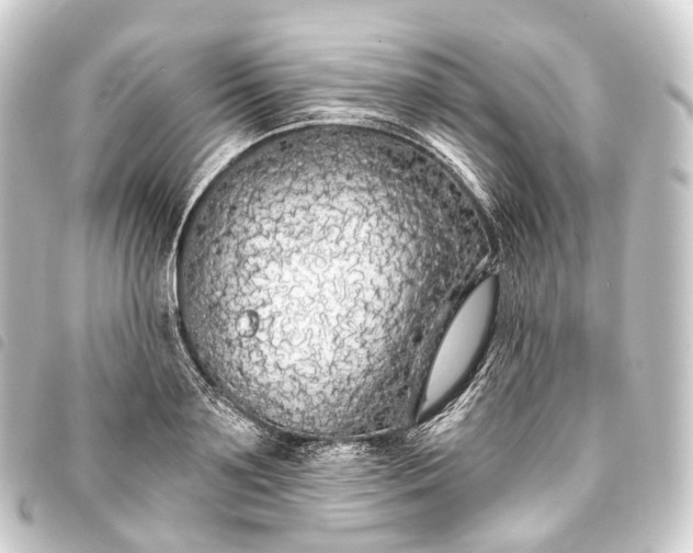 X0000093760891200710301142