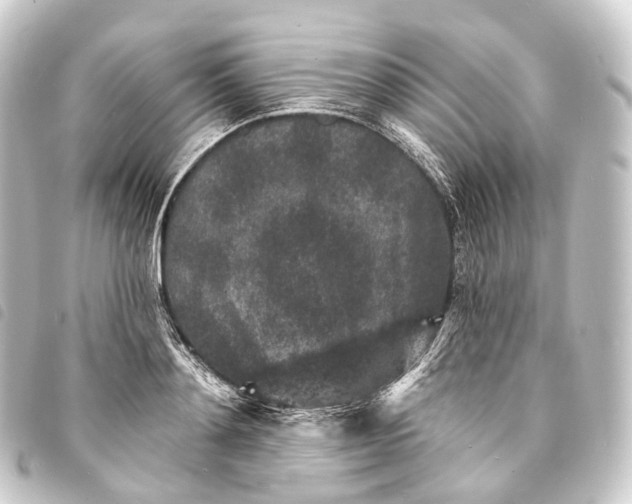 X0000093760892200710301142