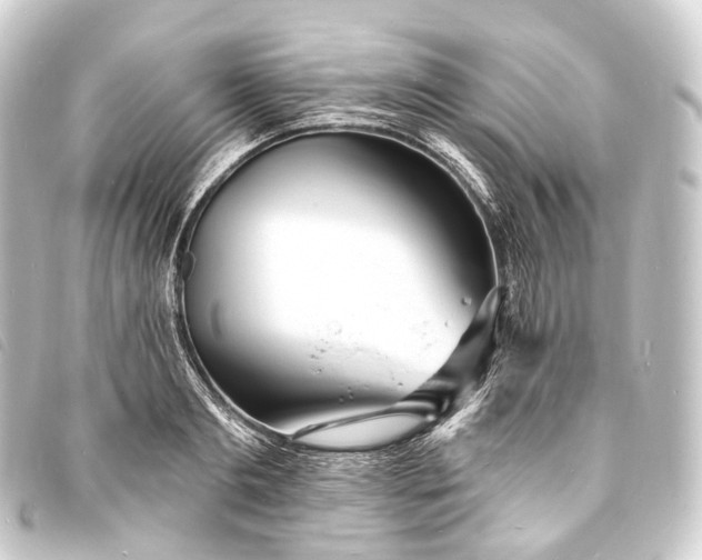 X0000093760893200710301142