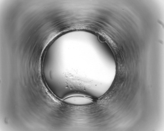 X0000093760894200710301142