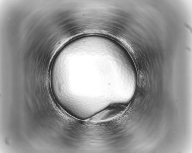 X0000093760895200710301142