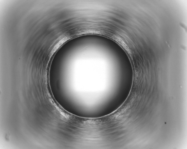 X0000093760898200710301142