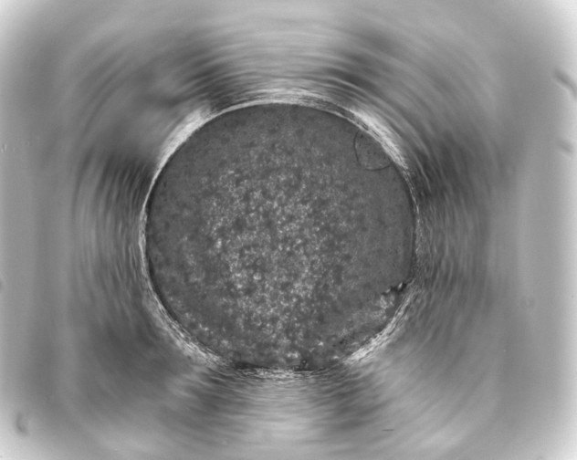 X0000093760899200710301142