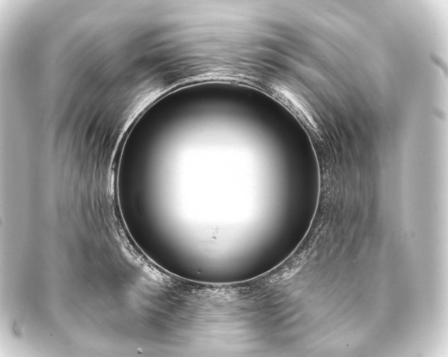 X0000093760900200710301142