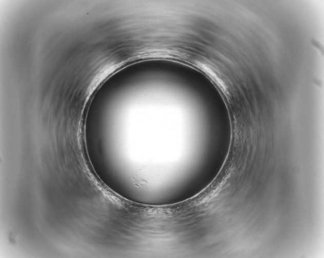 X0000093760901200710301142