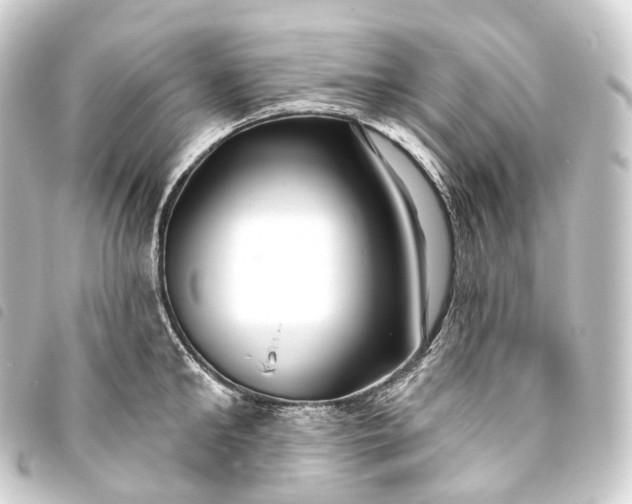 X0000093760902200710301142