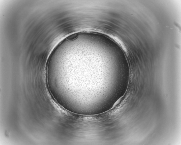 X0000093760903200710301142