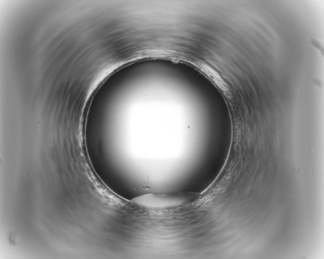 X0000093760904200710301142