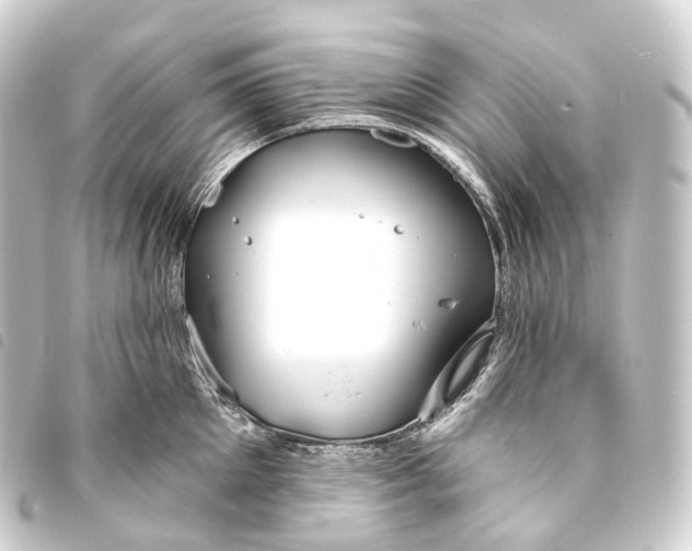 X0000093760905200710301142