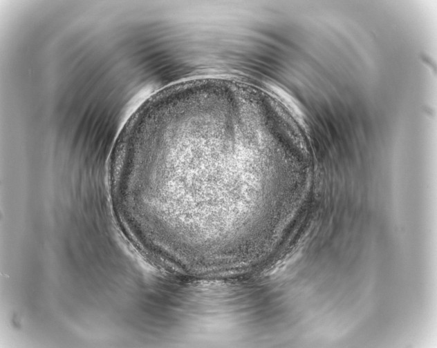 X0000093760907200710301142