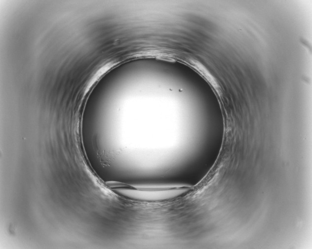 X0000093760909200710301142