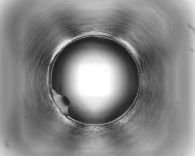 X0000093760910200710301142