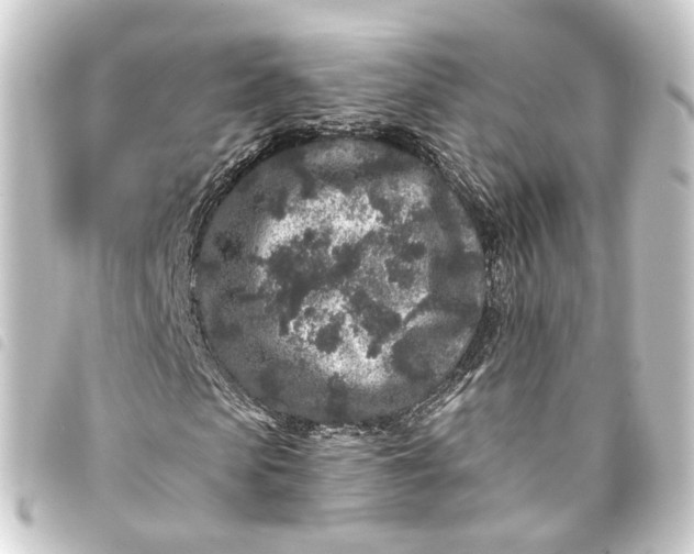 X0000093760913200710301141