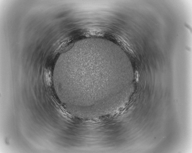 X0000093760915200710301141