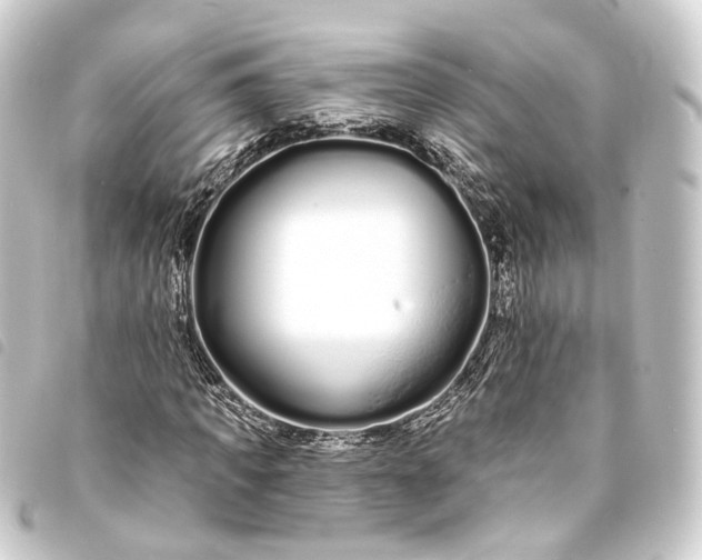 X0000093760917200710301141