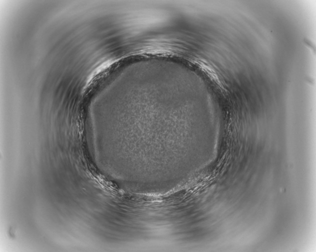 X0000093760920200710301141