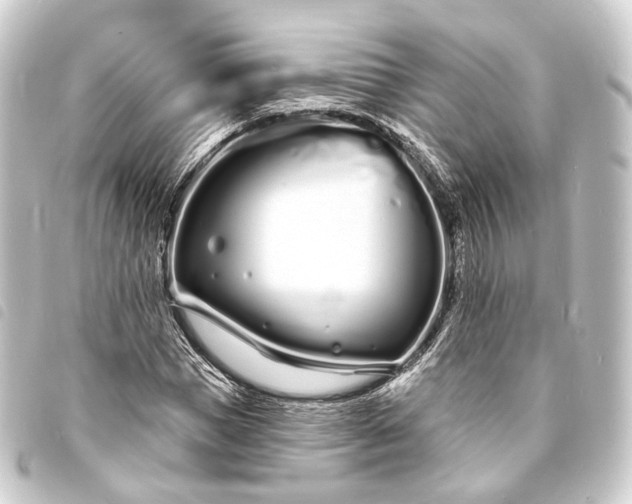 X0000093760921200710301141