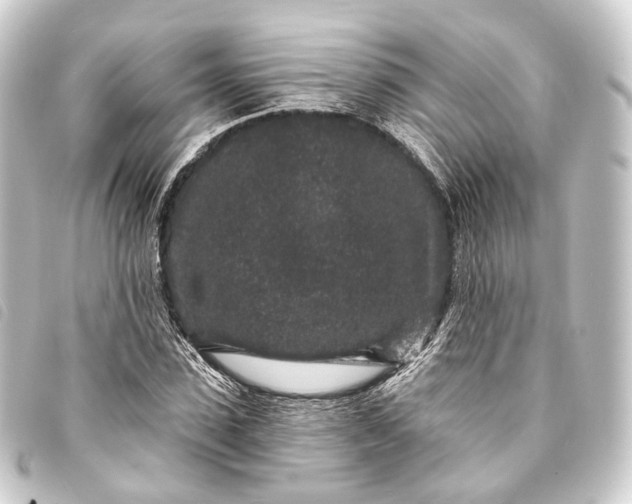 X0000093760923200710301141