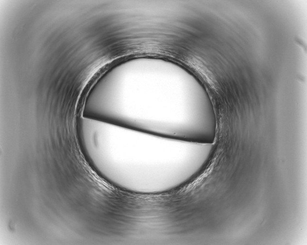 X0000093760924200710301141