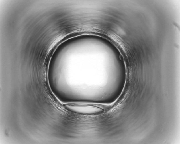 X0000093760925200710301141